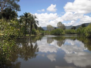 Centenary Lake - Cairns