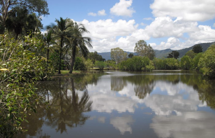 Centenary Lake - Cairns