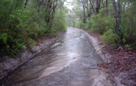 Fraser island