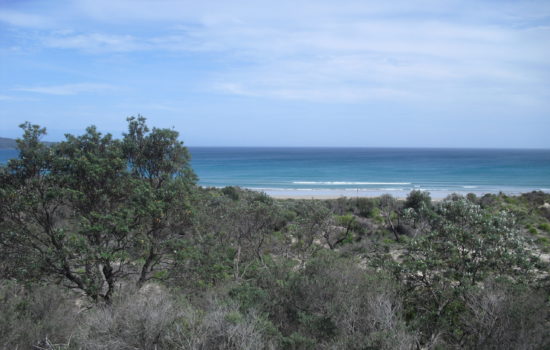 Jervis Bay