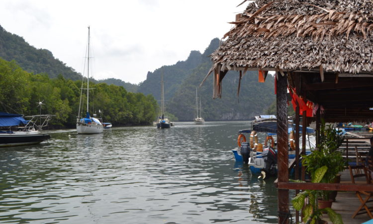 Langkawi Mangrove 1