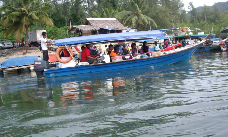 Langkawi mangrove 2