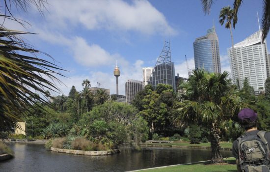 Botanic Garden - Sydney