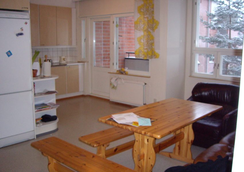 Salon - Logement Karjamentie - Joensuu - Finlande