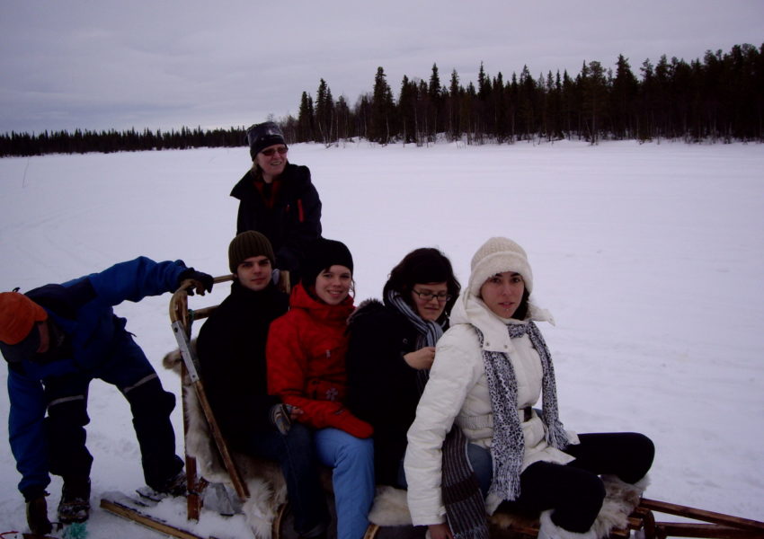 Laponie Finlandaise : chiens de traîneaux