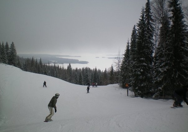 Koli - Finlande