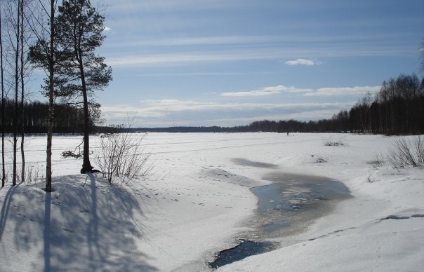 Lake - Joensuu