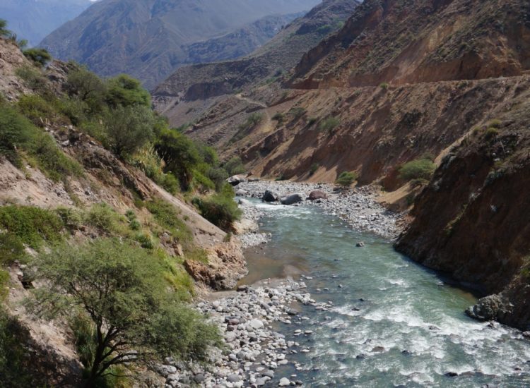 Canyon del colca - Aréquipa - Pérou