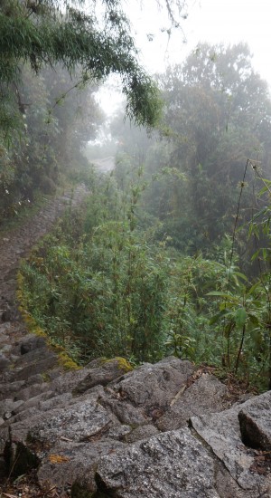 Trek inca - Macchu Picchu - Pérou