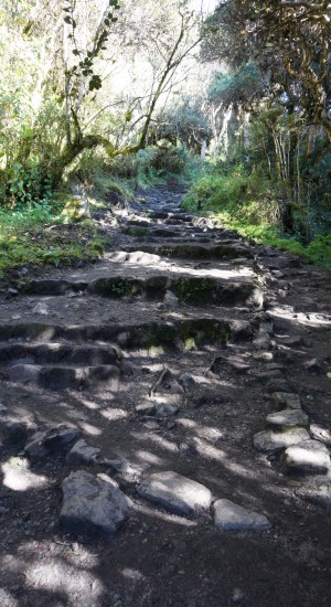 Trek inca - Macchu Picchu - Pérou