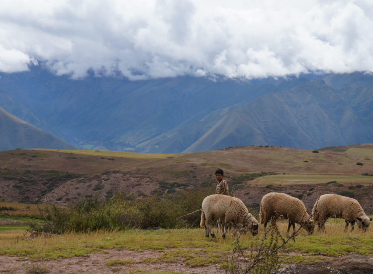 Moray - Cusco - Pérou