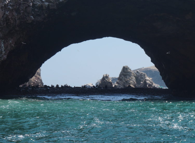 Paracas - Islas Ballestas - Pérou