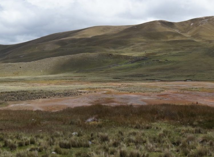 Pastoruri - Cordillère blanche - Pérou