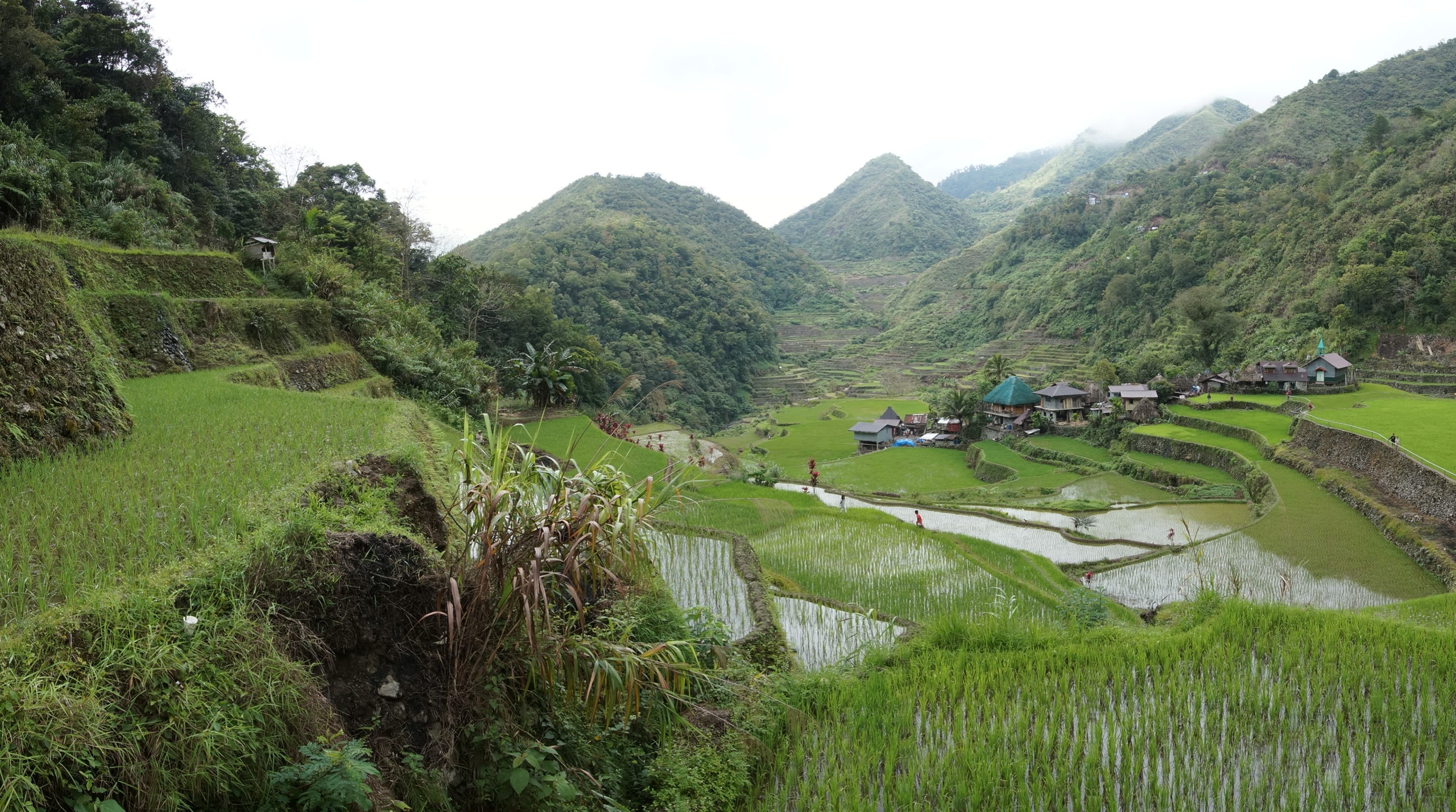 Bagna-an -rizières Luzon - Philippines