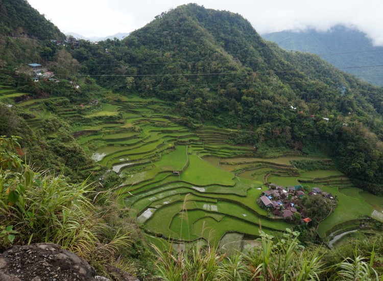 Bagna-an -rizières Luzon - Philippines