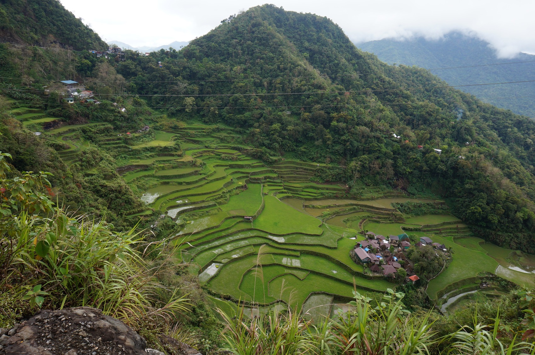 Bagna-an -rizières Luzon - Philippines