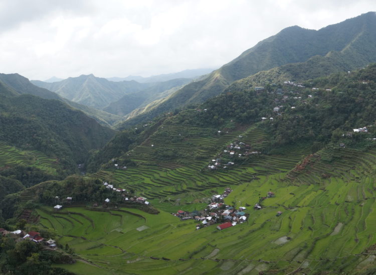 Batad rizières - Philippines