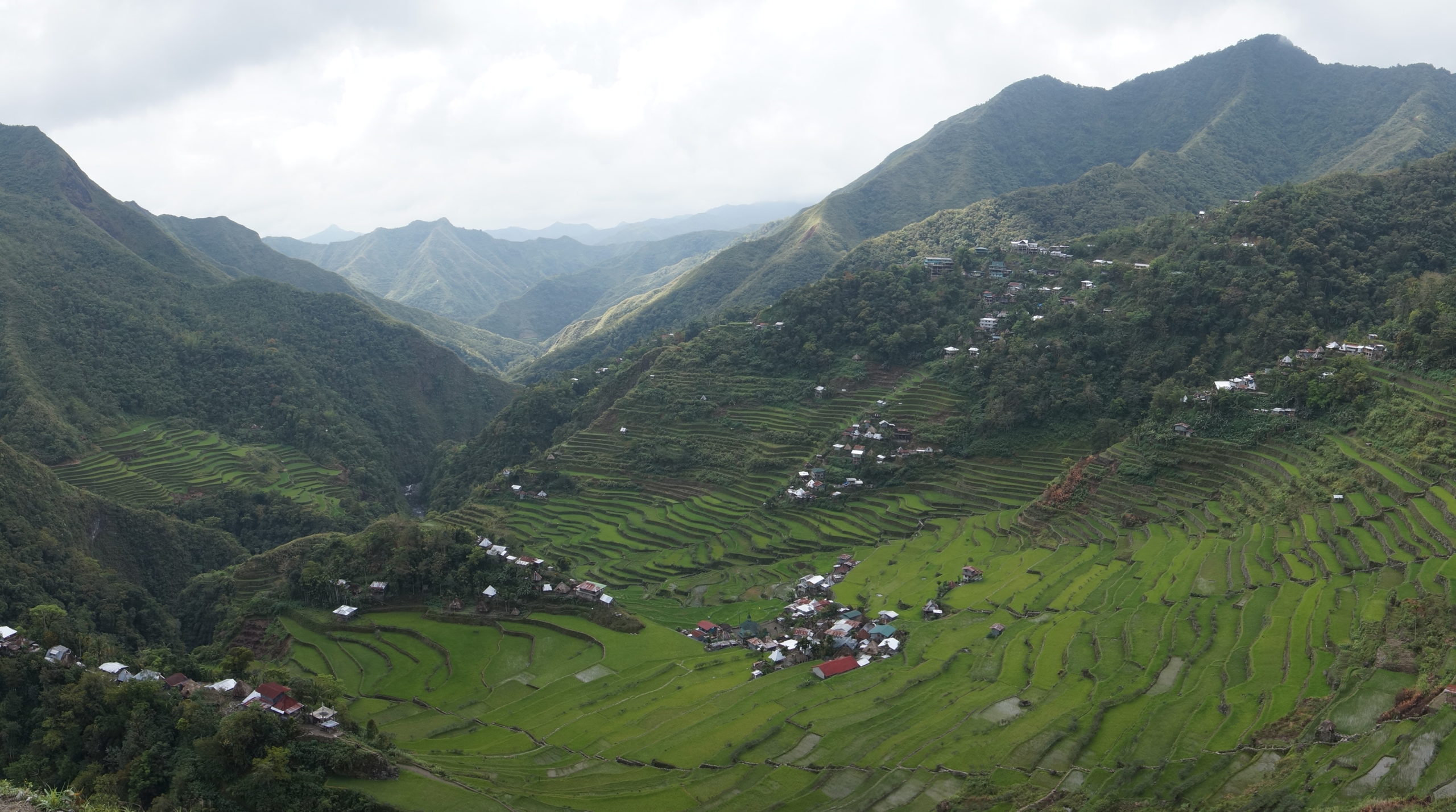 Batad rizières - Philippines