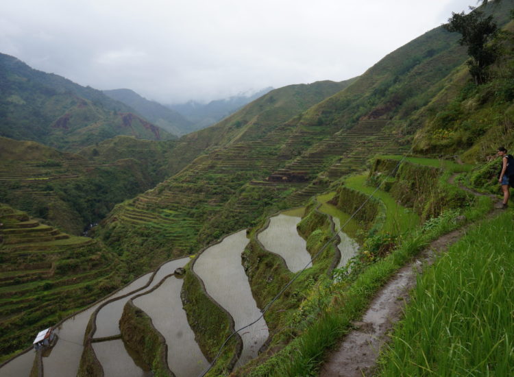 Trek Rizières entre Cambulo et Pula - Philippines