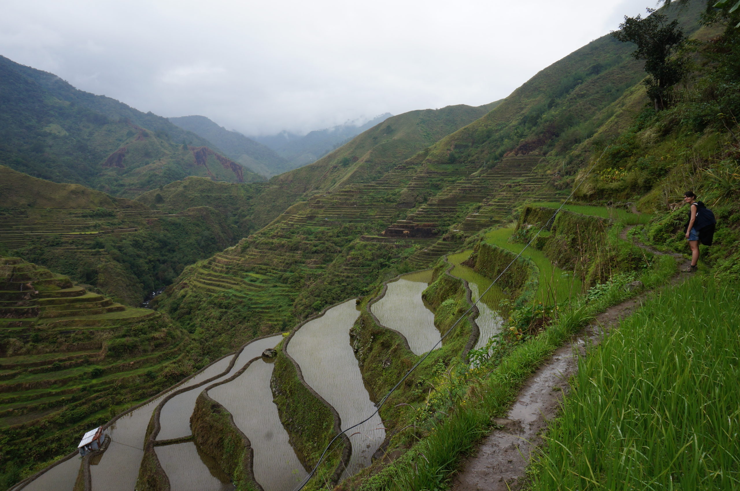 Trek Rizières entre Cambulo et Pula - Philippines