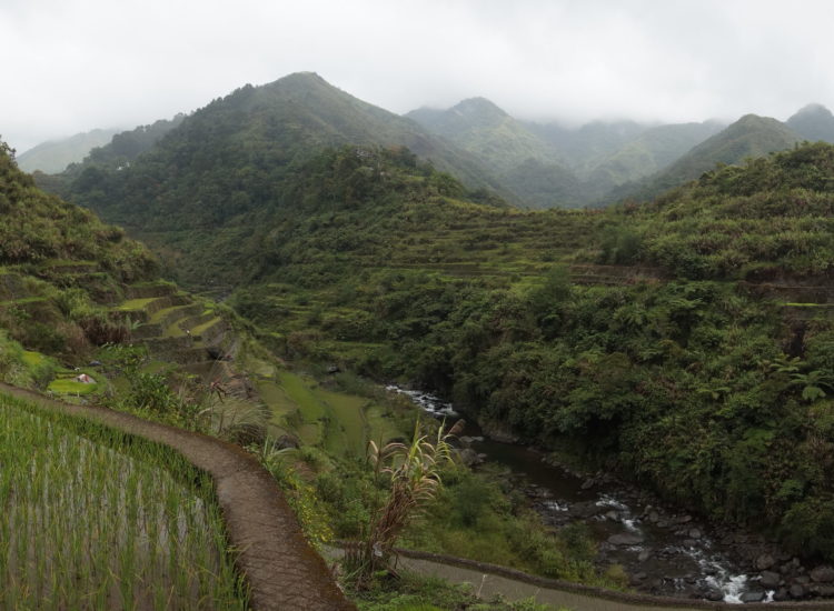 Trek Rizières entre Batad et Cambulo - Philippines