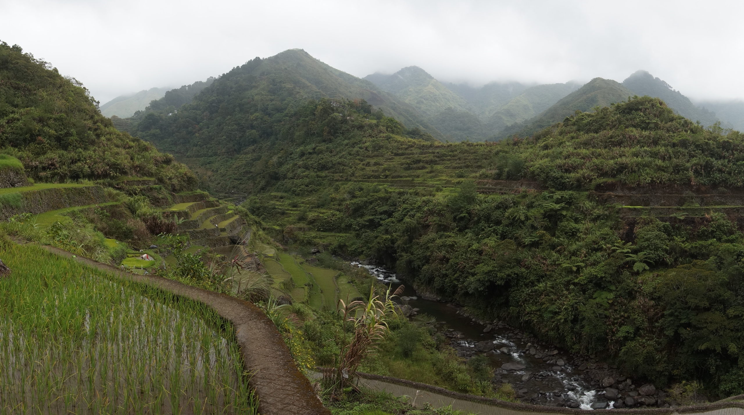 Trek Rizières entre Batad et Cambulo - Philippines