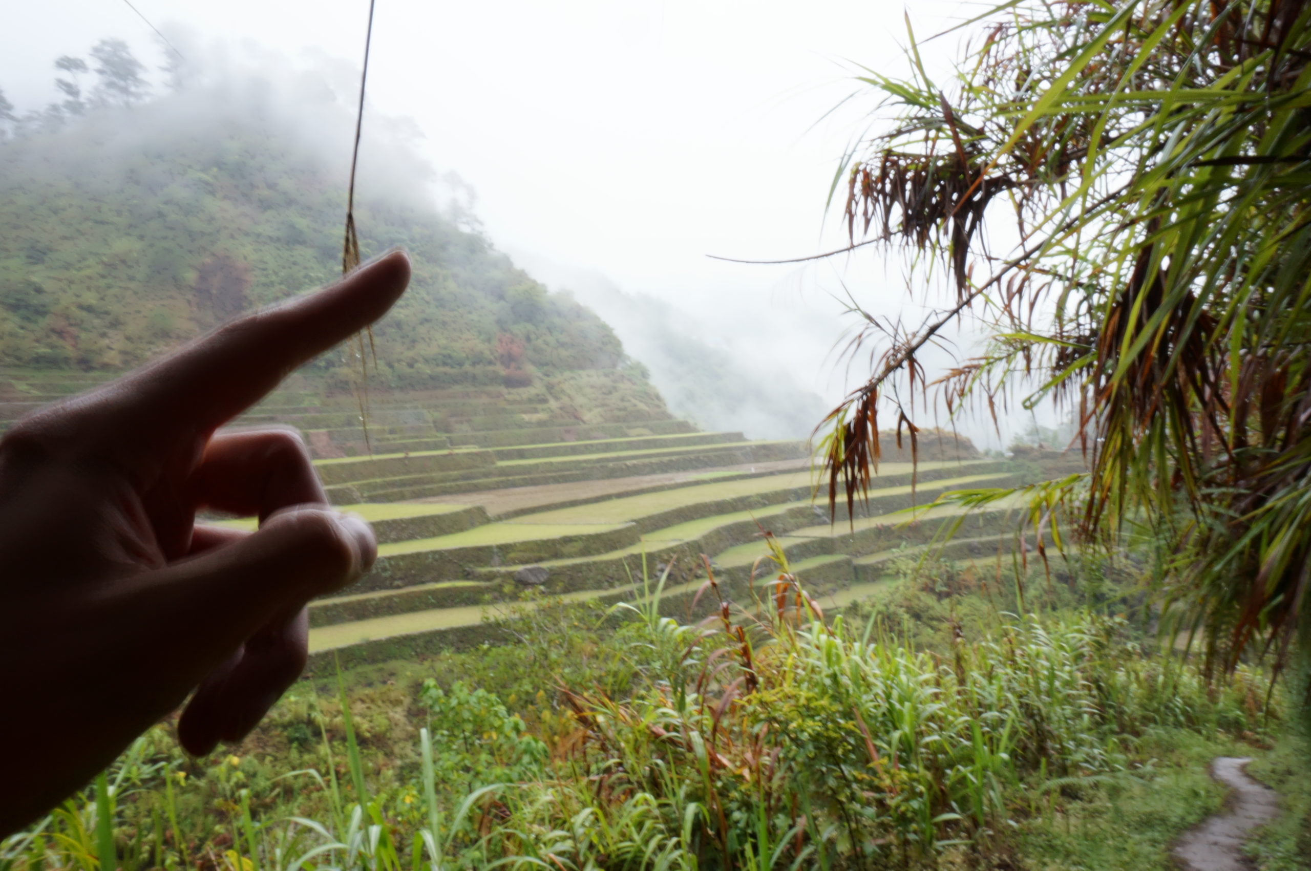 Trek Rizières Pula - Philippines