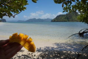 Snake Island - Palawan - Philippines