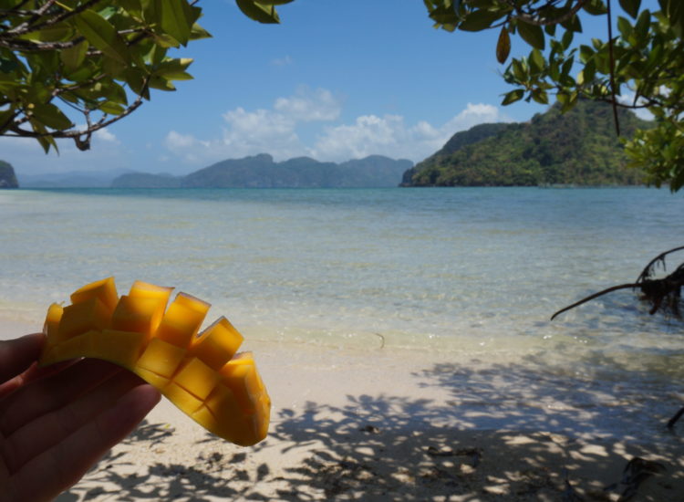 Snake Island - Palawan - Philippines