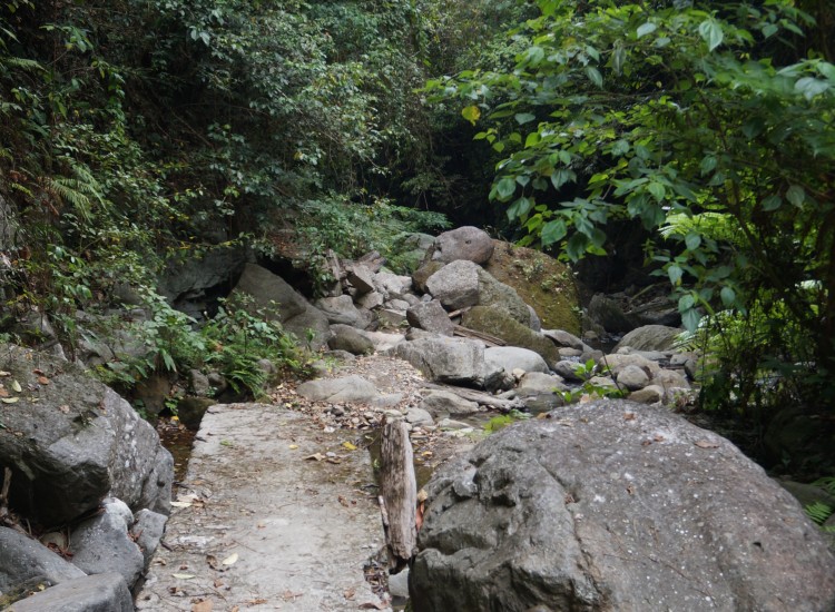 Casaroro falls- Dumaguete - Negros - Philippines