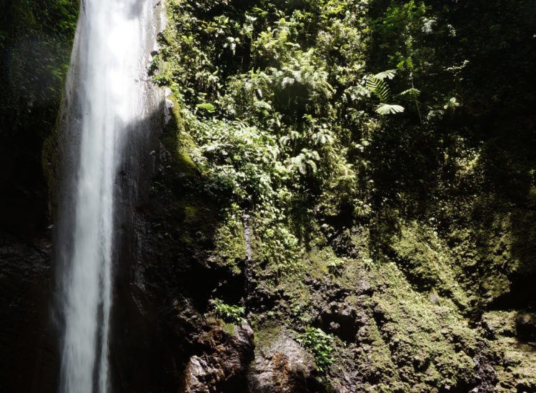 Casaroro falls- Dumaguete - Negros - Philippines