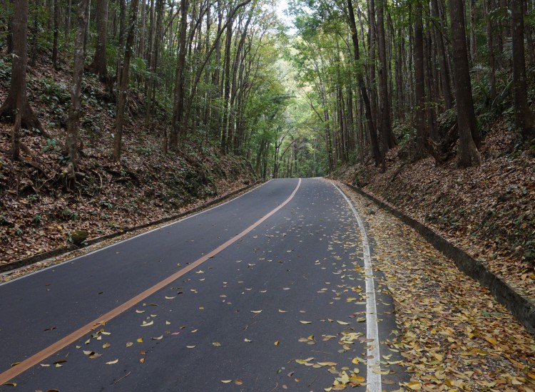 Bohol - Philippines