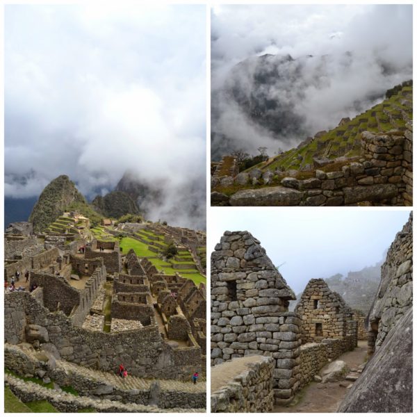 Macchu Picchu - Pérou