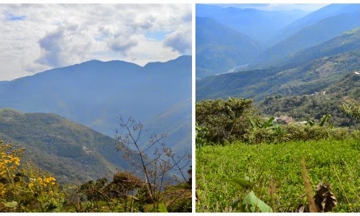 YUNGAS- Bolivie