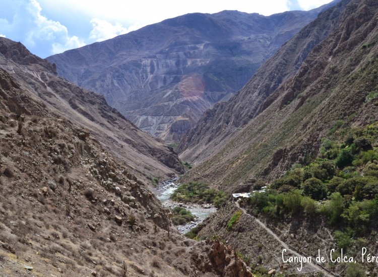 Canyon del Colca - Pérou