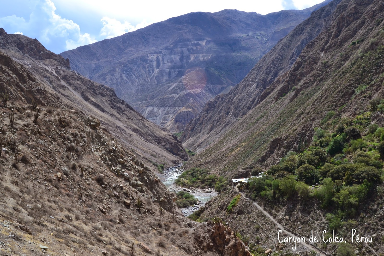 Canyon del Colca - Pérou