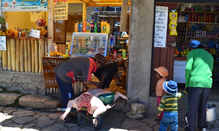 Copacabana - Bolivie