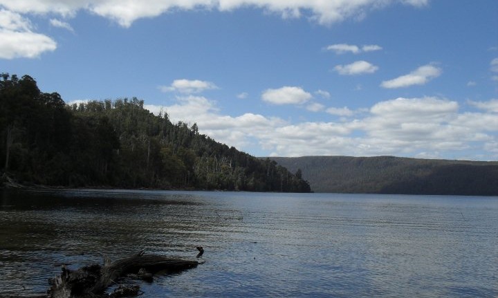 Lac saint clair tasmanie australie