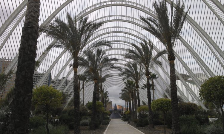 Valence- cité des sciences - Espagne