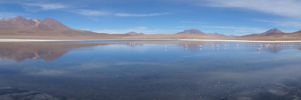 Laguna - Sud Lipez - Bolivie
