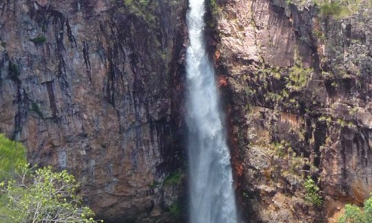 Lichtfield national parc - Australie