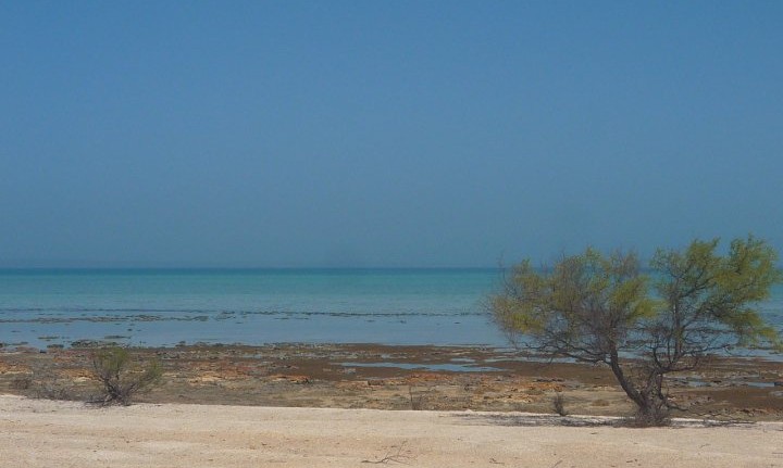 Shark Bay australie