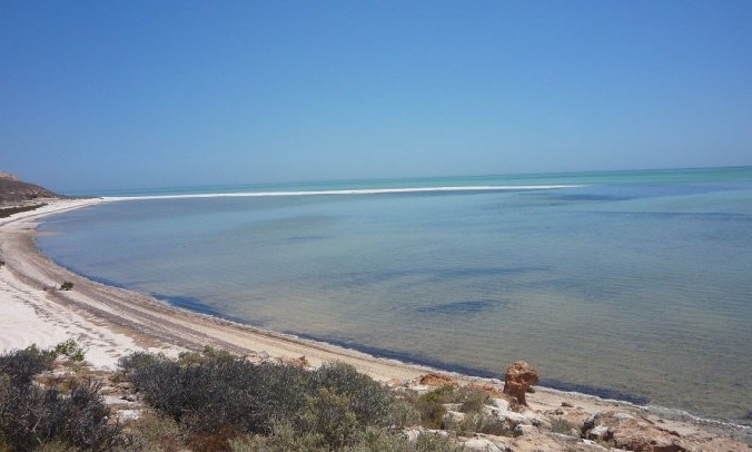 Shell Bay Australie