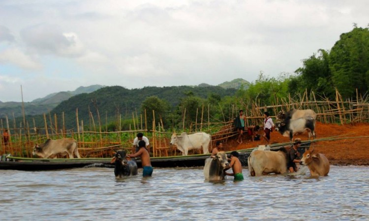 Lac Inle - Birmanie