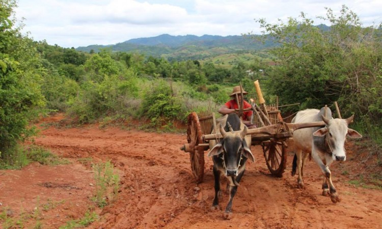 Trek Pays Shan - Birmanie