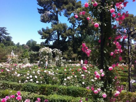 El retiro - Madrid