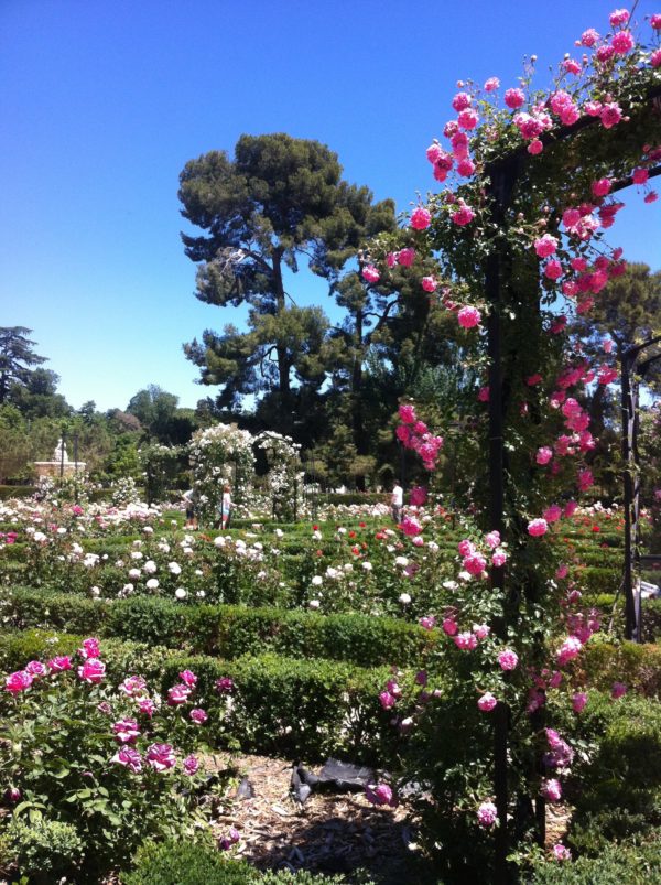 El retiro - Madrid