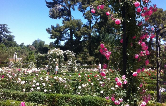 El retiro - Madrid