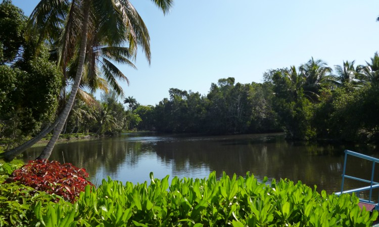 Laguna del Tesoro - Cuba