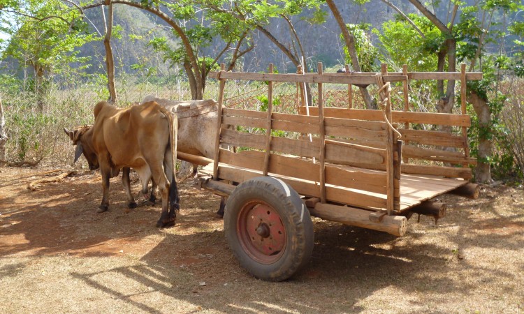 Vinales Valley - Cuba